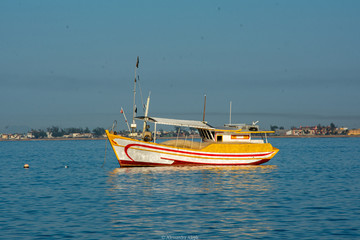 Fototapeta premium Pesca