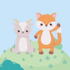 cute cat fox cartoon animals in a natural landscape