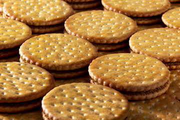 Stunning Round sweet cookies filled with tasty chocolate cream