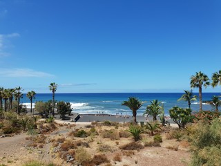 tropical beach with palm trees