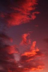 Pink clouds during a sunset in the evening 