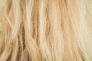 Naklejka premium Close Up Of Blond Hair