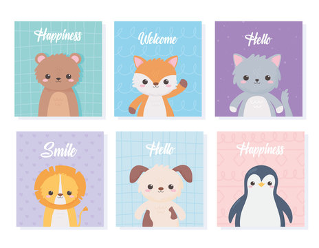 cute cartoon animals portrait cards with bear cat lion dog penguin