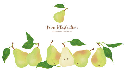洋梨の手描きイラスト