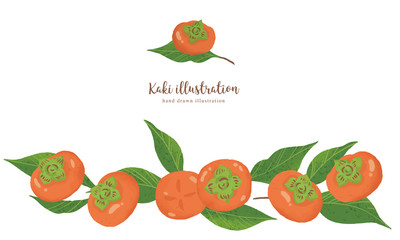 柿の手描きイラスト