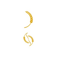 Wheat Logo Template vector symbol