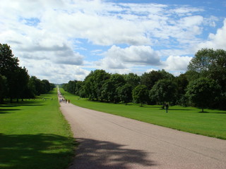 road in the park