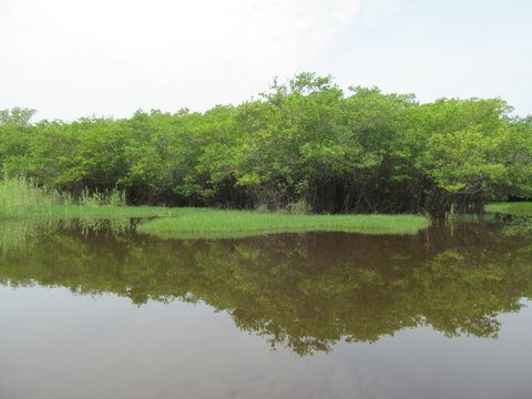 Monterrico Guatemala Mangrove and Riverboat Tour
