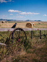 old farm equipment