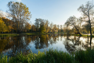 Fototapeta premium Autumn park landscape with bright trees
