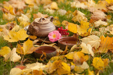 Chinese teapot with pink flower and a cup of green tea among yellow maple leaves