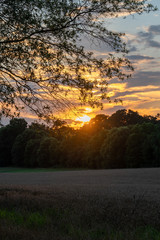 Sunset over a field