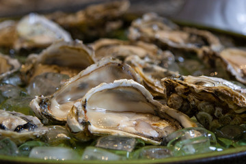 fresh oysters opened under ice board.
