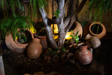 Room decoration with pots on tree root.