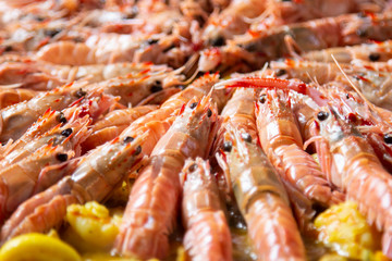 Traditional spanish paella with seafood and pork. Prepared