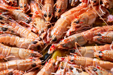 Traditional spanish paella with seafood and pork. Prepared