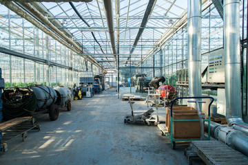 interior of a large glass industrial greenhouse for growing tomatoes