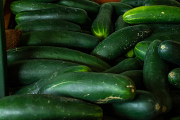 Pepino