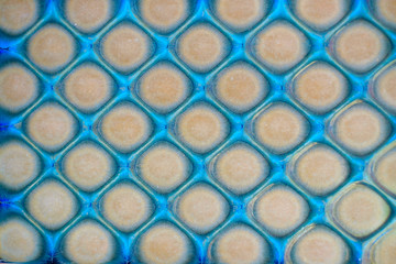 Abstract blue and salmon pink background with rhomboid pattern.