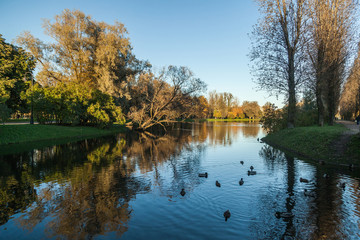 Small lake in autumn park
