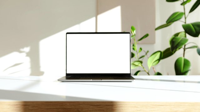 A photo of a laptop on a white desk with a green plant