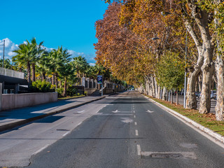 Fototapeta na wymiar Empty avenue in Malaga with autumn trees.