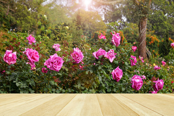 Empty top wooden table on beautiful pink rose in the garden