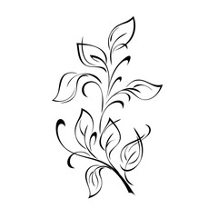 ornament 1281. stylized twig with leaves and curls in black lines on a white background