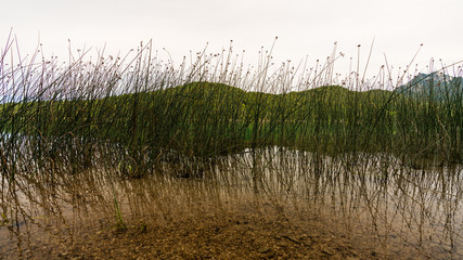 Seeufer am Fuschlsee in Salzburg