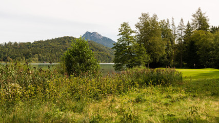 Fototapeta premium Seeufer am Fuschlsee in Salzburg