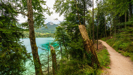 Blick vom Fuschlsee Rundweg auf den türkisblauen Fuschlsee