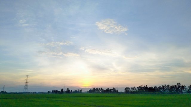 sunset in the field