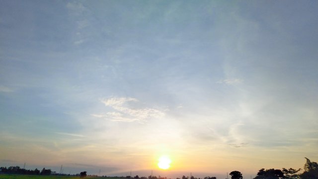 sunset over the field