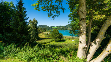 Fototapeta premium Blick vom Fuschlsee Rundweg auf den türkisblauen Fuschlsee