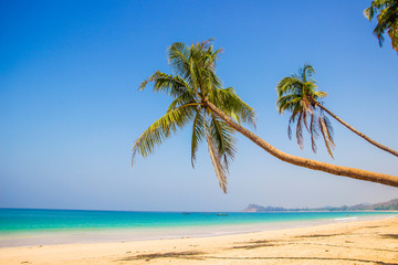 Obraz na płótnie Canvas Beautiful Ngapali beach, white sand, palm trees, Myanmar