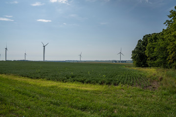 Fototapeta na wymiar Windmills on a Farm