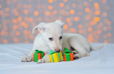 A white dog lies next to a mountain of gifts against the background of holiday lights