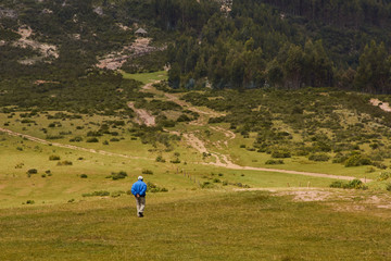 Fototapeta na wymiar Paisaje andino verde. Un señor camina hacia las montañas.