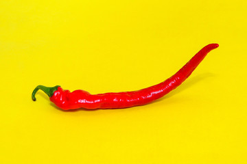 Fresh organic red chili pepper close-up on yellow background close up
