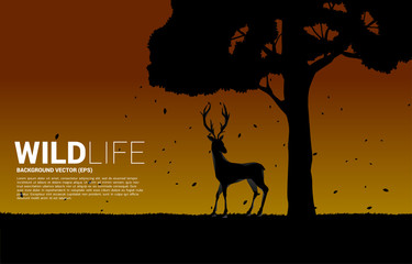 Silhouette of Big deer with big tree .background for natural take care and save the environment.