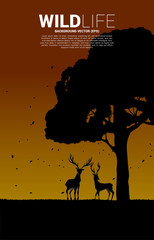 Silhouette of Big deer with big tree. background for natural take care and save the environment.