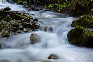 Fototapeta na wymiar 山中の渓流を流れる水（スローシャッターによる撮影）
