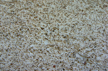 texture of small multi-colored stones on a gray background