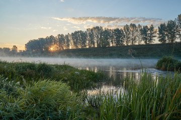 Fototapeta na wymiar Summer time. Morning dawn over the river in a hazy, thoughtful haze. Beautiful view of the forest and river covered with fog early in the morning.