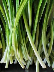 fresh vegetables used for cooking contain vitamins that benefit the body.