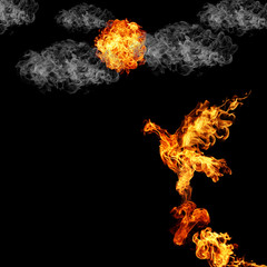 burning fiery bird flies on a black background