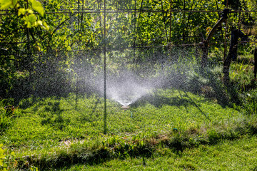 Universal garden sprinkler on a green lawn with a water fountain