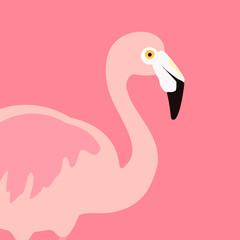 Vector illustration pink flamingo. Exotic bird. Decorative
