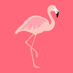 Flamingo tropical bird isolated on pink background