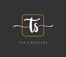 T S TS Initial letter handwriting and signature logo. A concept handwriting initial logo with template element.